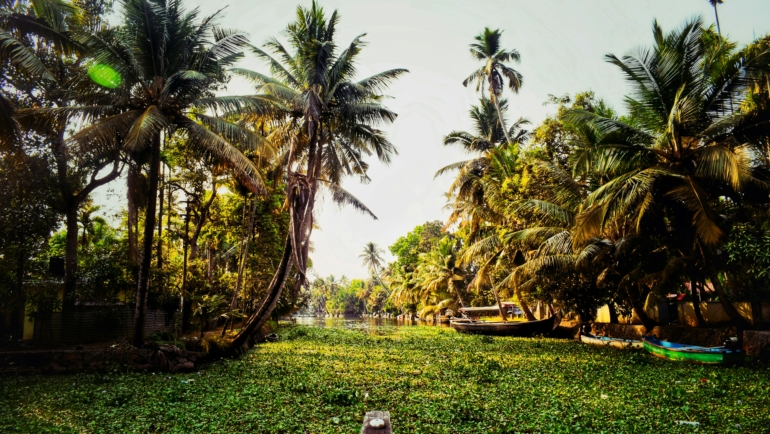 alleppey in july monsoon