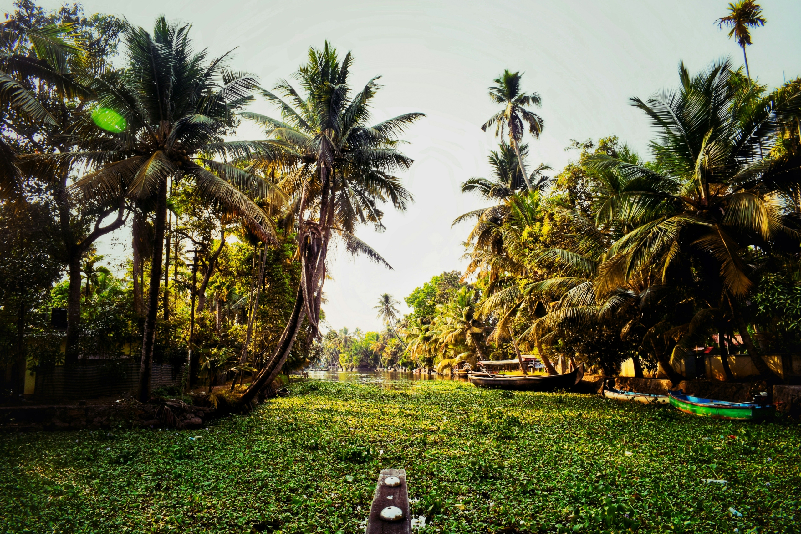 alleppey in july monsoon