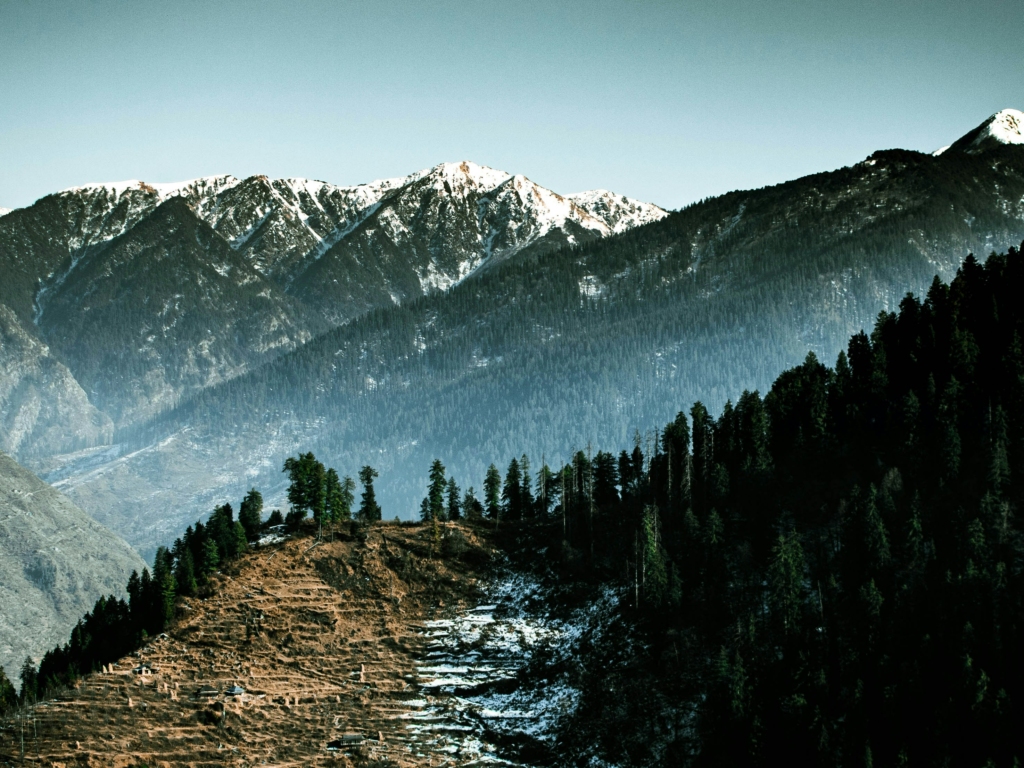 Tirthan Valley in Summer