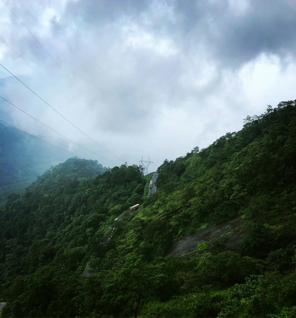 wayanad in monsoon