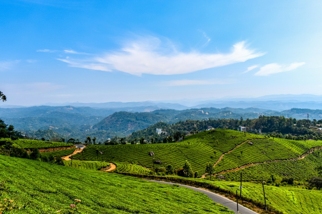 ooty in july monsoon