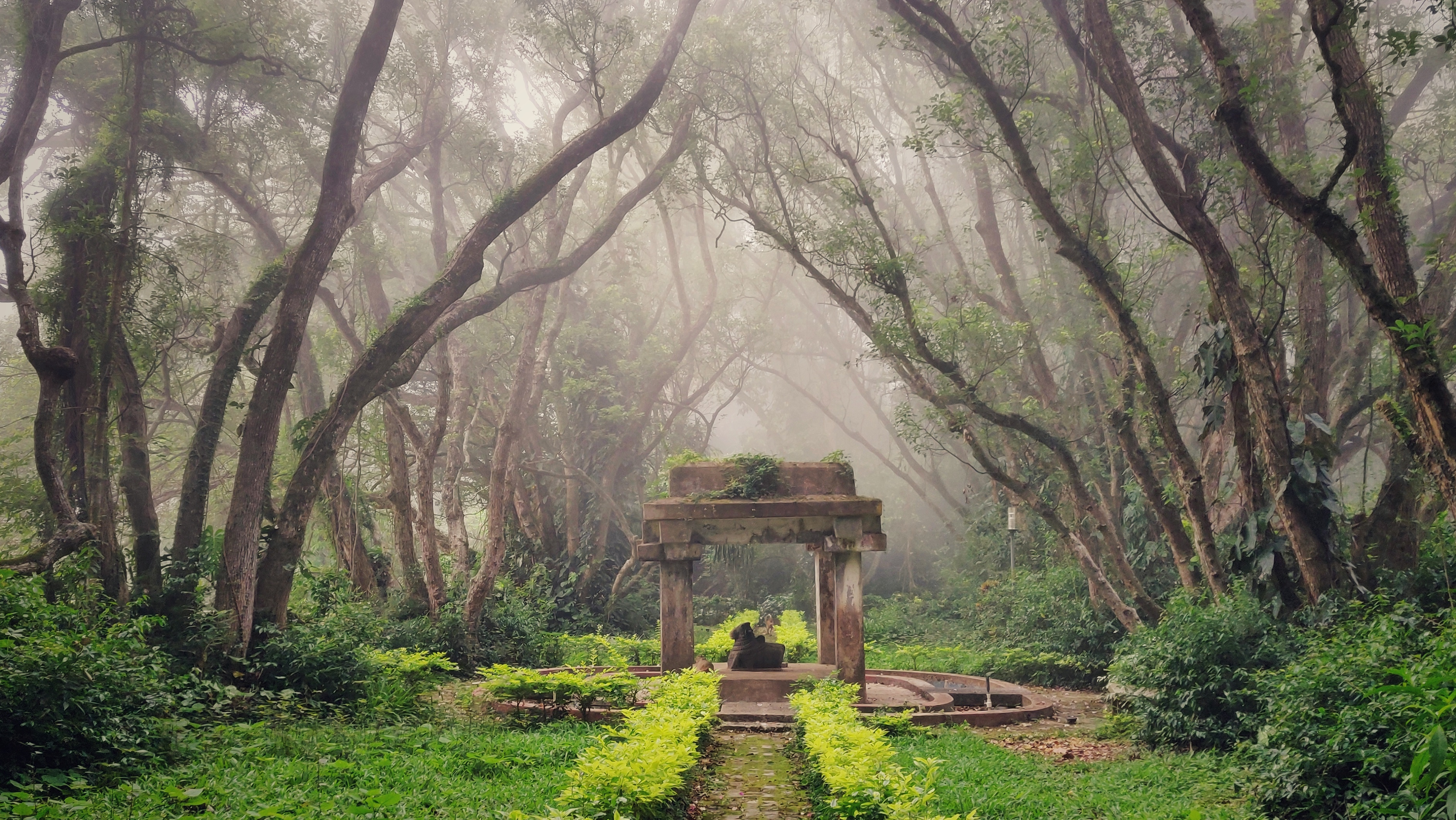 Nandi Hills is a perfect weekend getaway when visiting hill stations near Bangalore