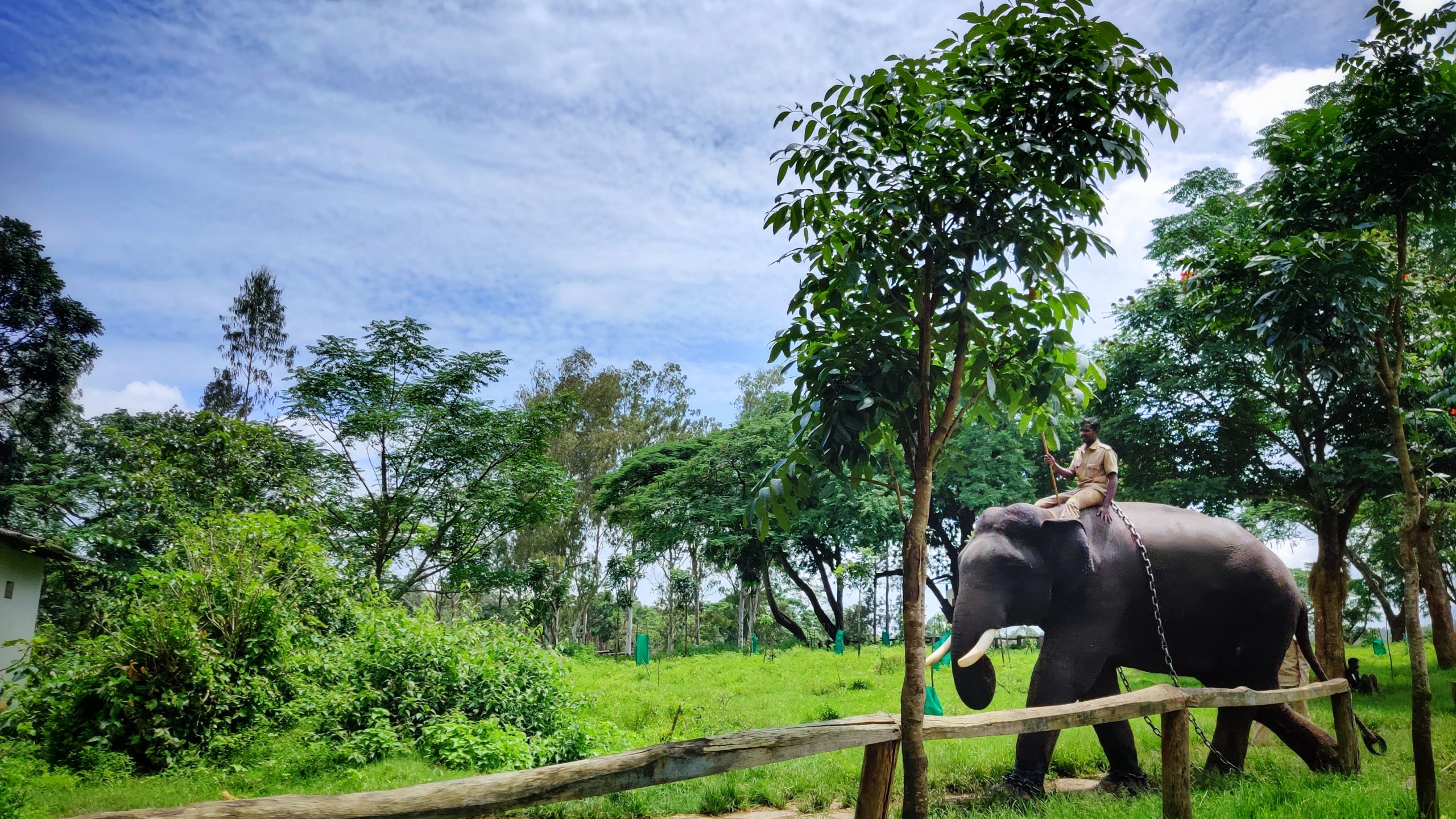 Dubare Elephant Camp a beautiful tourist attractions in Coorg