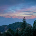 Kasauli View