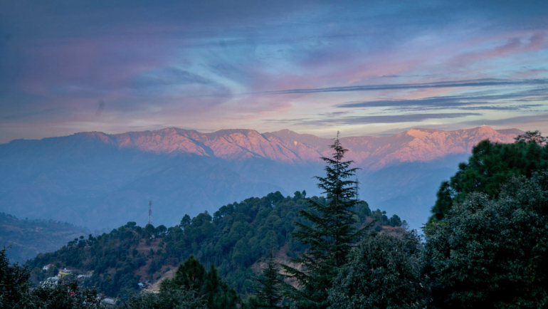 Kasauli View