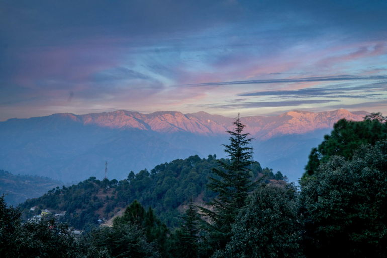 Kasauli View