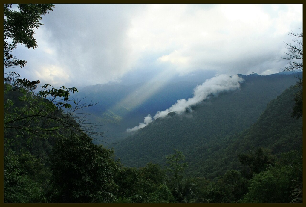 kerala in monsoon - wayanad is the best place to visit
