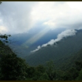 kerala in monsoon - wayanad is the best plac to visit