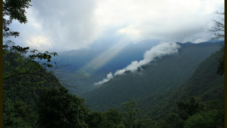 kerala in monsoon - wayanad is the best plac to visit