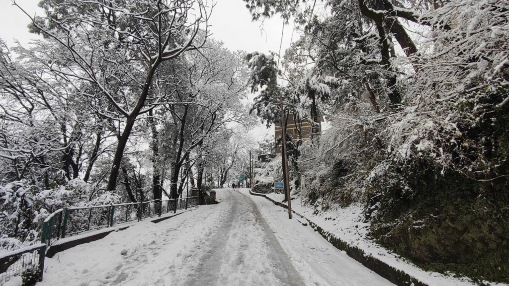 Snowfall in Kasauli 