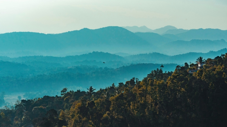 things to do in coorg