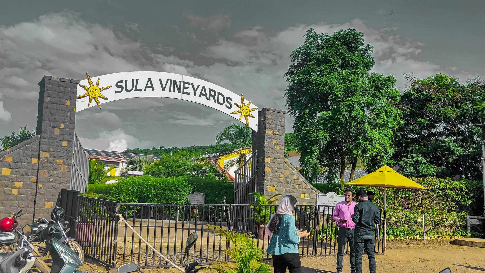 Sula wines, Vineyard in Nashik