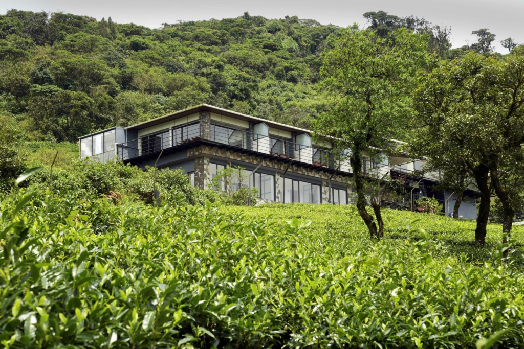 rooms in munnar