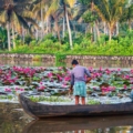 Kerala in August