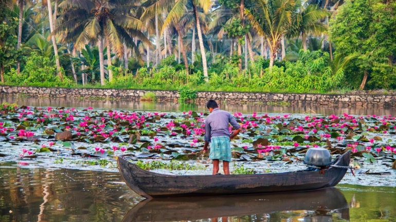 Kerala in August