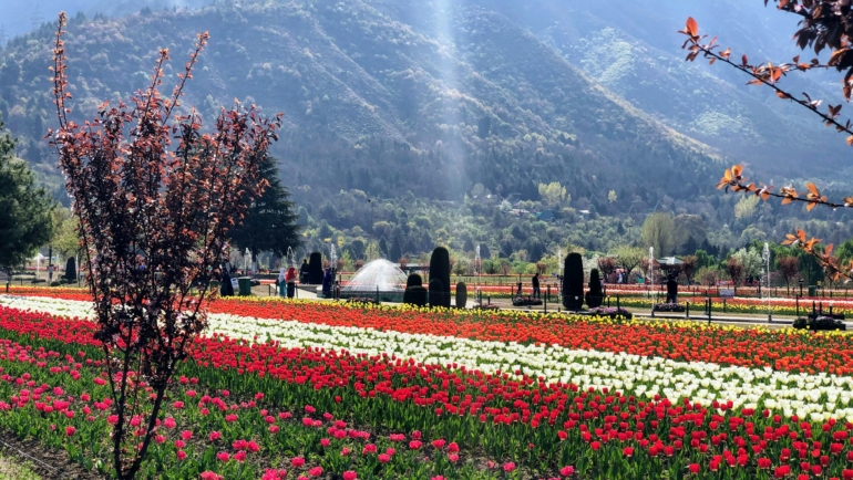 kashmir in august and september