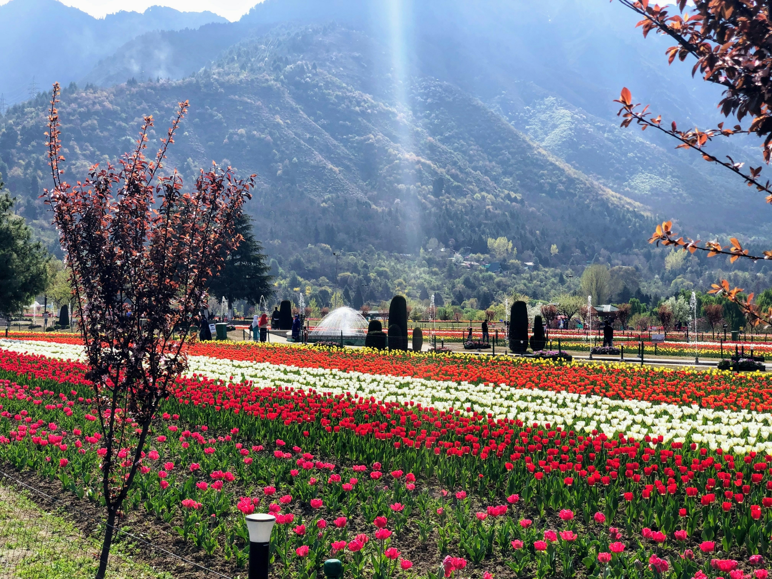 kashmir in august and september