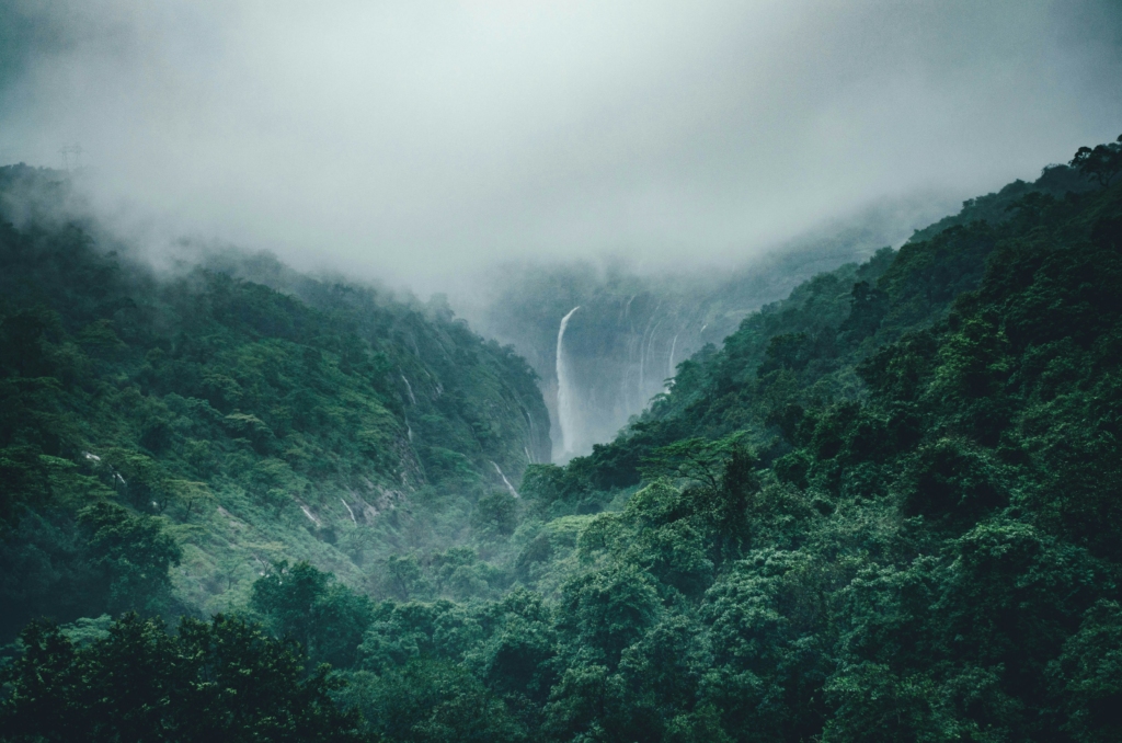 jog waterfall in south india konkan