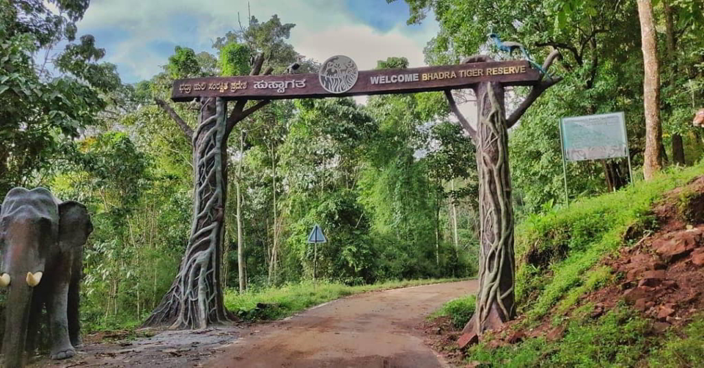 chikmagalur tourist places is bhadra tiger reserve