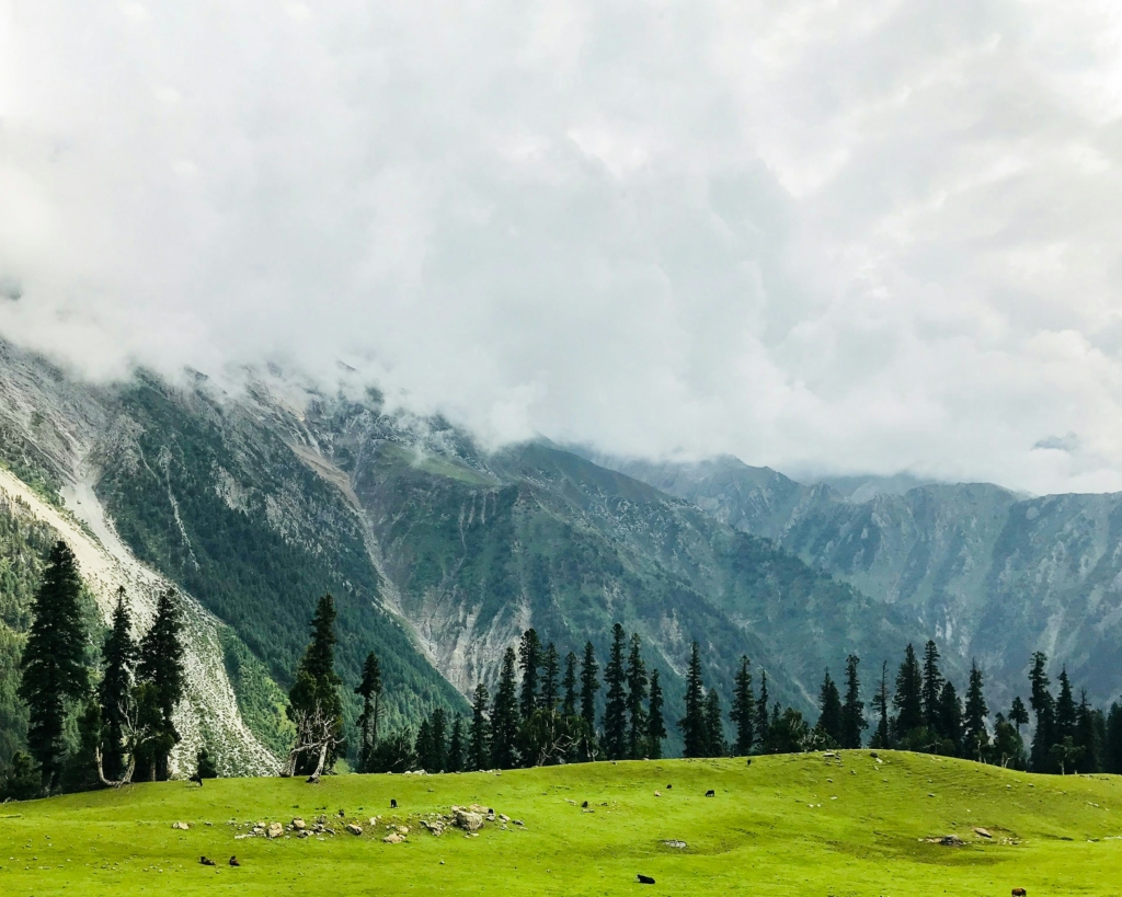 kashmir in august with family