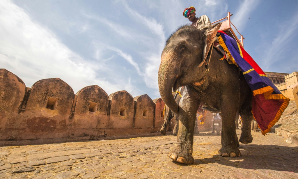 Elephant Ride at Amer Fort 