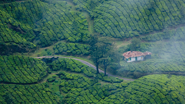 munnar weather and best time to visit