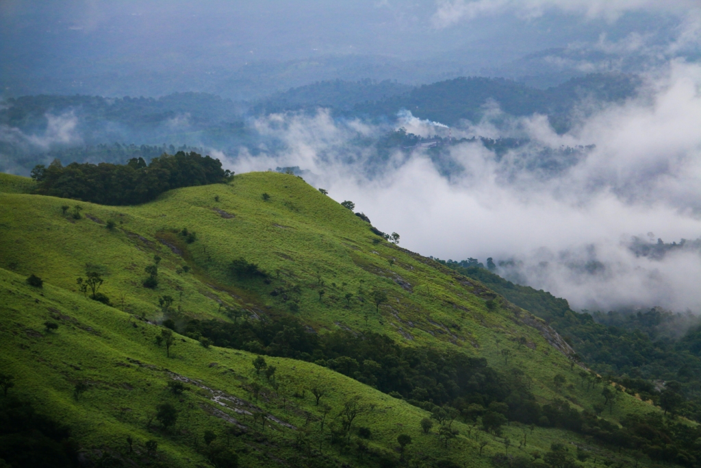 wayanad trip plan in the monsoon season 2024