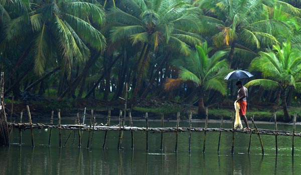 about kerala backwaters in monsoon