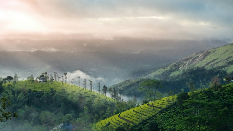 things to do in munnar in 2024