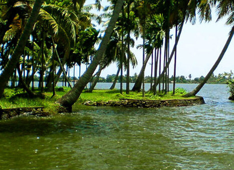 island along Alleppey backwaters in Kerala