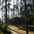 best time to visit coorg