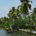 alleppey backwaters