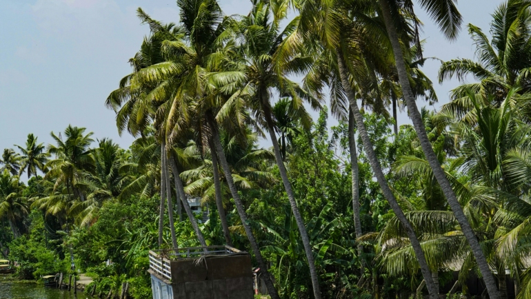 alleppey backwaters