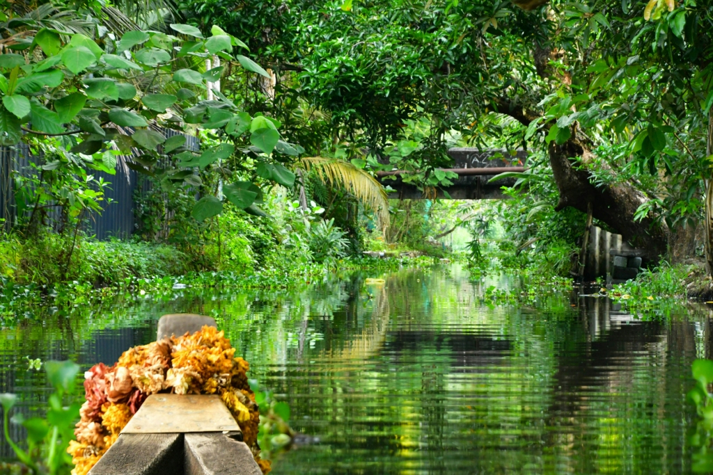 Backwaters in Alleppey 