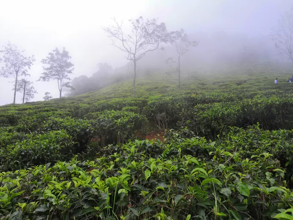 Coonoor in monsoon 