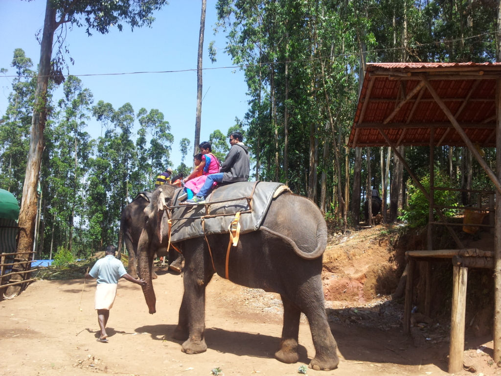 elephant ride in Munnar