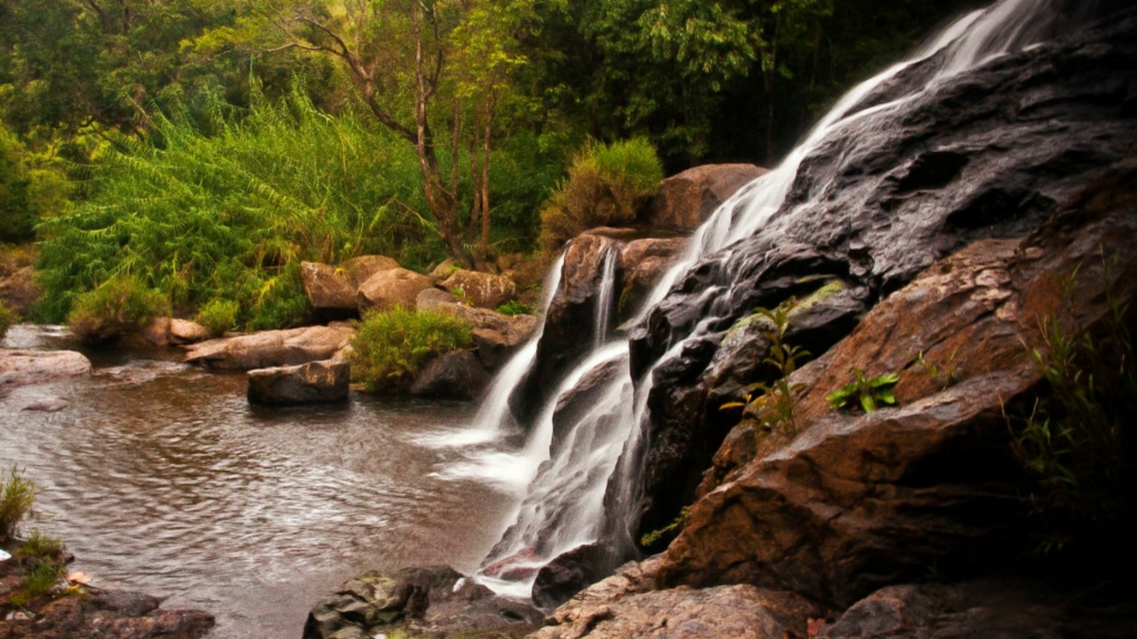 Catherine Falls, Things to do in Coonoor