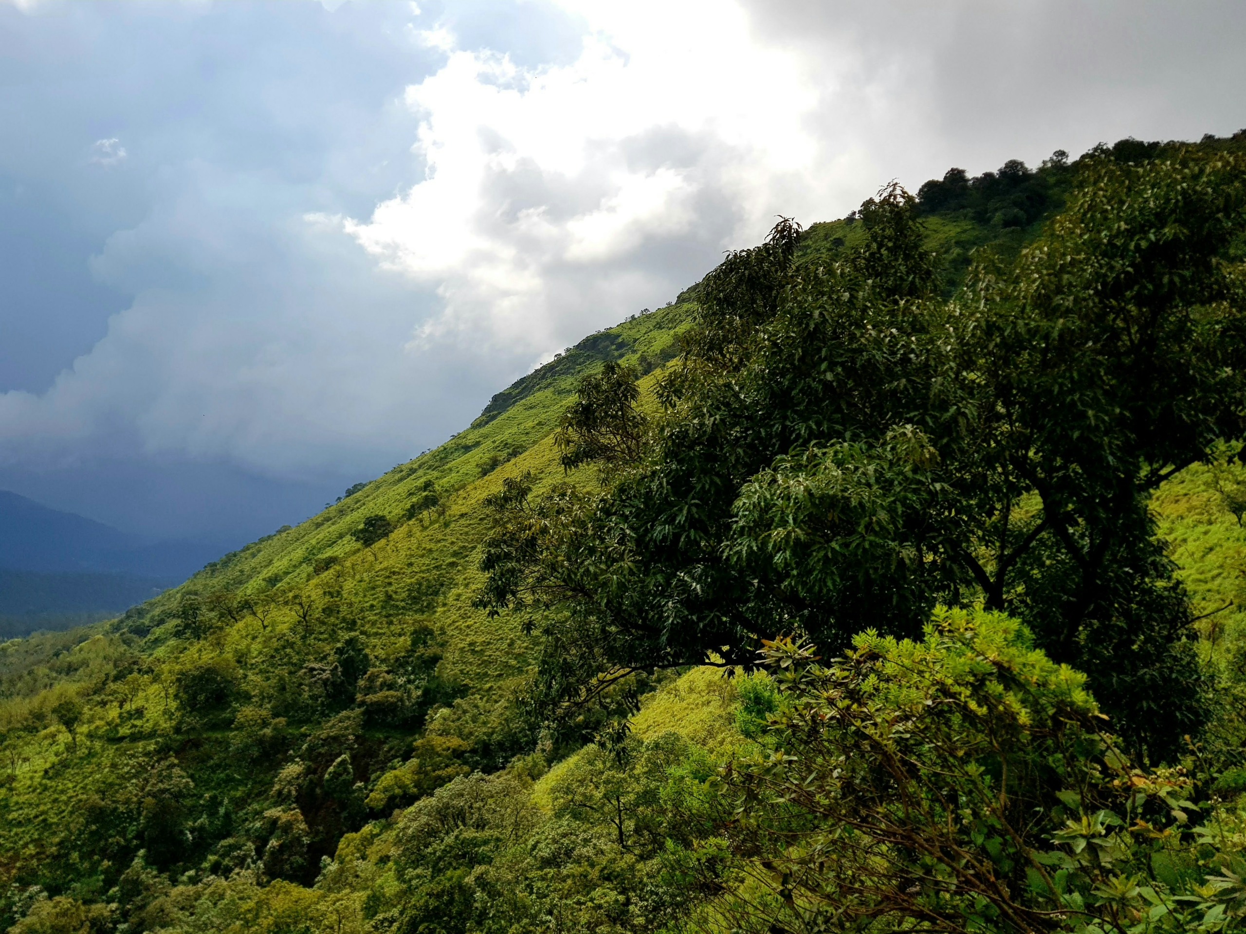 weather in chikmagalur during monsoon