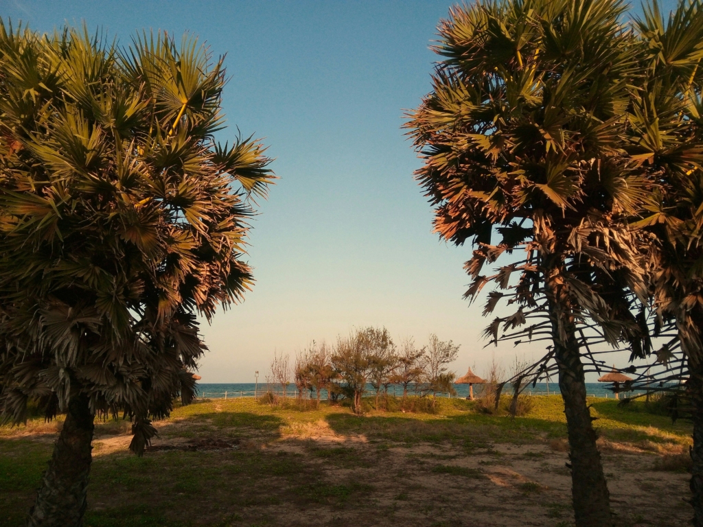 eden beach in pondicherry - best place to visit in india