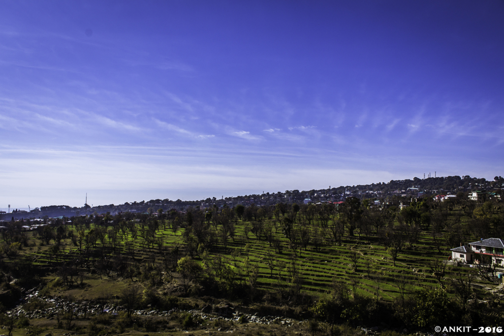 Summer in Dharamshala
PC: Razor348 - https://www.flickr.com/photos/razor348/24305733170/in/photolist-GrRcSy-8Sjwrf-DrC4D1-6WBRfw-FQTvh4-9jwPUL-AedwoS-AtwqbC-8Sjysm-zyWb3z-AwPaYT-9jtZVx-D2PeF1-4onmSx-DtW8dr-YJNDtX-DrCCGA-AwPayz-D2PTEs-D2PAf7-DrCcLy-zyWaKa-AwPaDe-DtVEdK-AedwwN-DrC7e1-CwqCDE-4opMKV-4opN2x-q4dKDB-D2P8uJ-4onmMg-AuCpoy-2fiKEp3-CwqtFj-DmEfwe-Aedxcq-4j9BBV-DtVP14-CVr7ba-eZDWAP-dGFBaK-DmETFz-CwqVPG-4orsuo-DrCtbm-4orsRG-5gj9oX-4otPMQ-TfmBs4