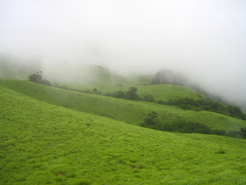 Winter treks in India, Kerala trek
PC: Harikrishnan Bhaskaran - https://www.flickr.com/photos/harikrishnanb/3112605411