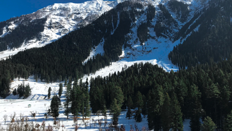 Places to visit in Pahalgam