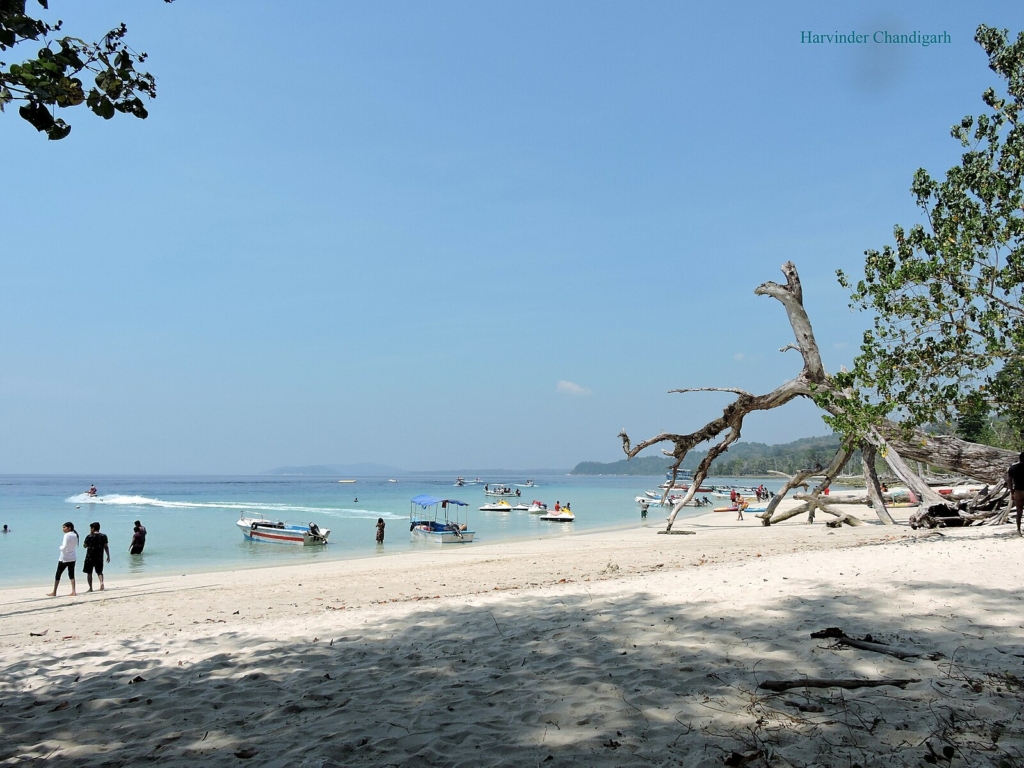 Must visit places in Havelock Island
PC: Harvinder Chandigarh - https://commons.wikimedia.org/wiki/File:Elephenta_beach,_Havelock_Island,_Andamn,_India.jpg