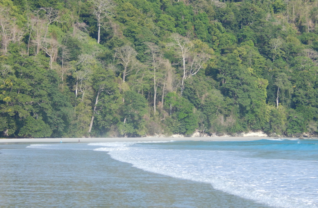 Radhanagar Beach, one of the cleanest beaches in Havelock Island 
PC: Mvbellad via Wikimedia 
https://commons.wikimedia.org/wiki/File:Radhanagar_Beach,_Havelock_Island,_Andaman,_India.jpg