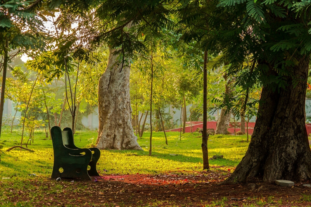 Botanical Garden in Pondicherry
PC: Debaditya 1 - https://commons.wikimedia.org/w/index.php?title=User:Debaditya_1&action=edit&redlink=1