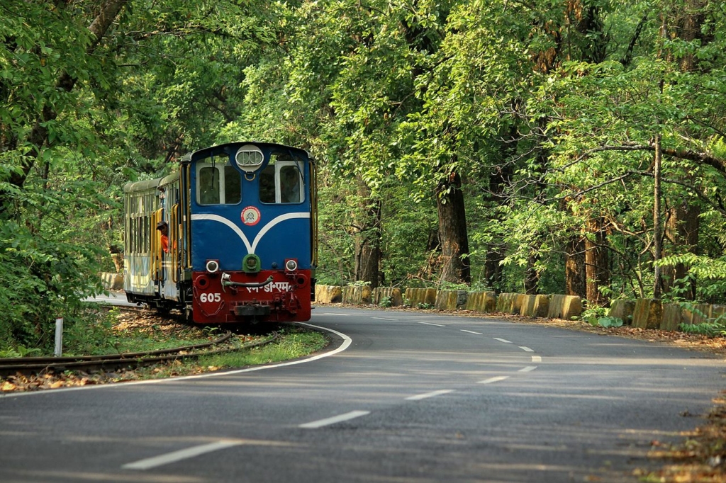 darjeeling toy train
