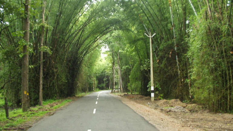 Bnagalore to Kochi Road trip.