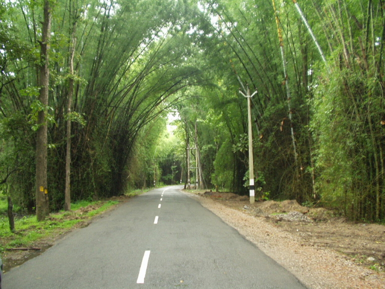 Bnagalore to Kochi Road trip.