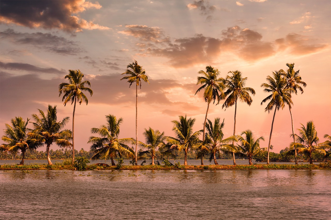 best time to visit Alleppey PC: munnarholiday https://www.needpix.com/photo/1785244/alleppey-kerala-houseboat-india-travel-kumarakom-backwaters