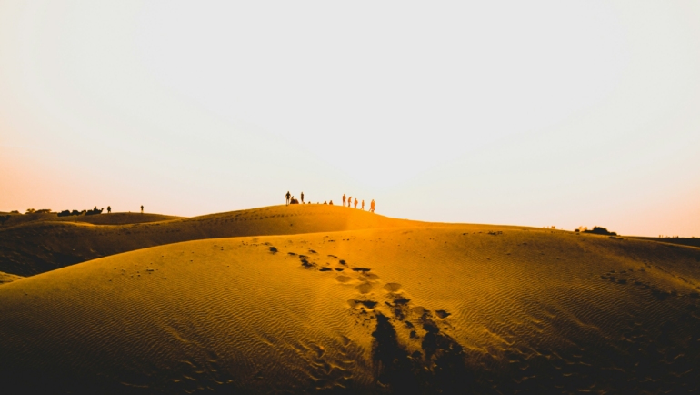 Thar Desert Safari Guide